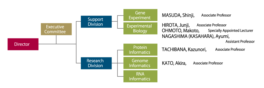 Center for Biological Resources and Informatics Organization chart