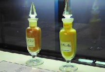 Vitamin B2 reagent bottles displayed at Tokyo Tech Museum