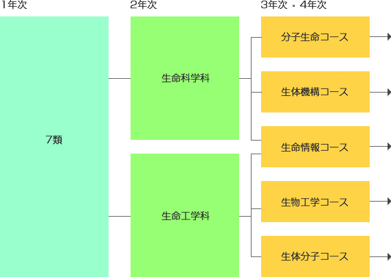 学部学生所属