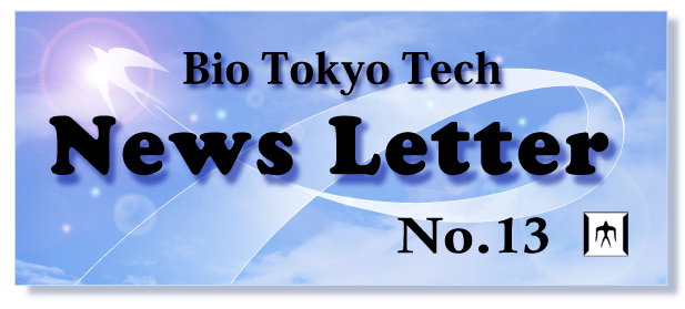 News Letter No.13