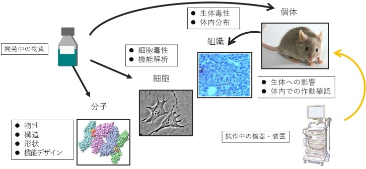 生命理工学院生体イメージング支援室